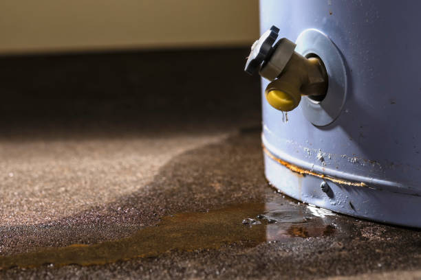 Best Flood damage cleanup  in Suncrest, WA