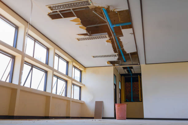 Best Mold removal after water damage  in Suncrest, WA