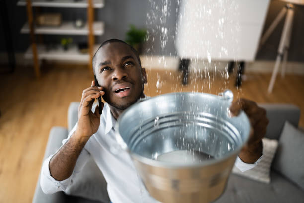 Best Water damage restoration mold remediation  in Suncrest, WA