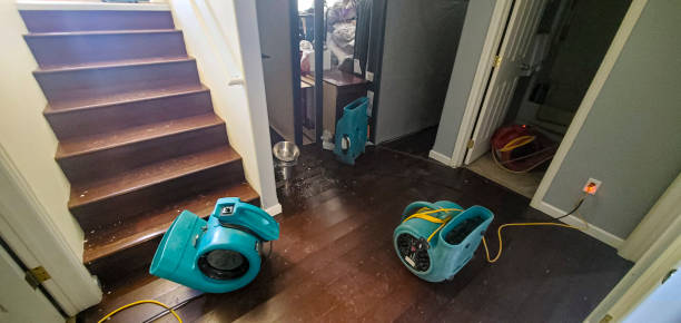 Best Sewage cleanup and water damage restoration  in Suncrest, WA