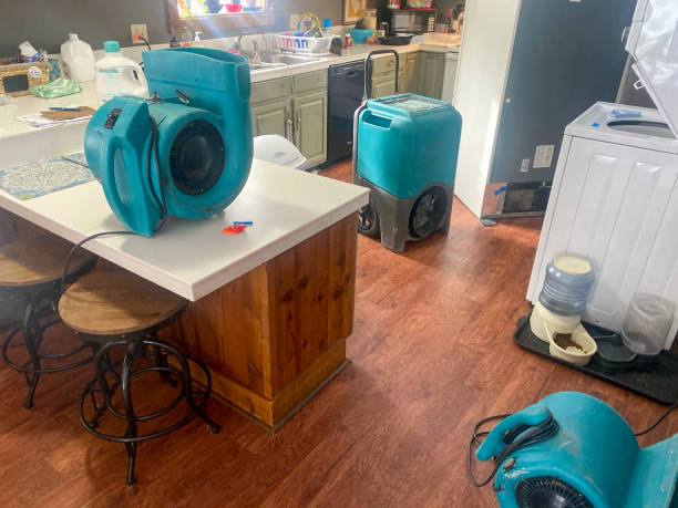 Sewage cleanup and water damage restoration in WA