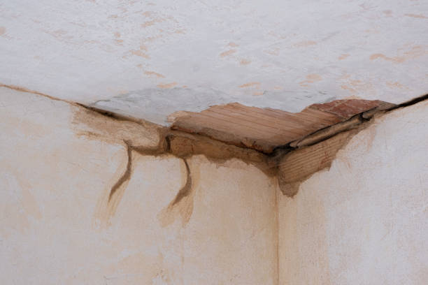 Best Water damage restoration near me  in Suncrest, WA