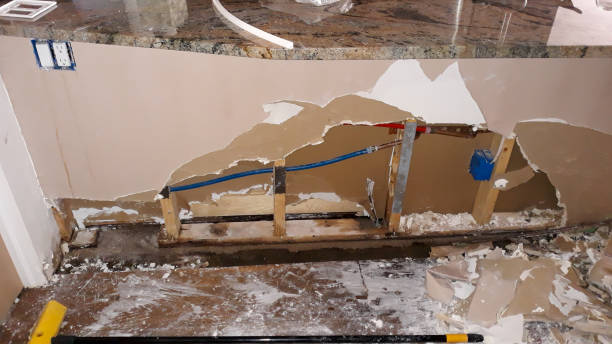 Best Basement water damage restoration  in Suncrest, WA