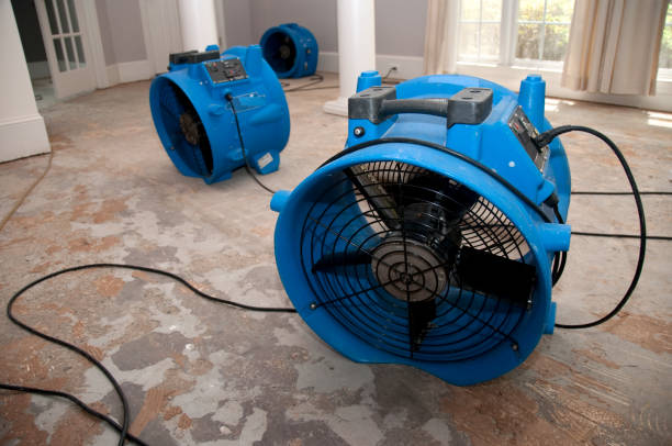 Best Water damage restoration services  in Suncrest, WA